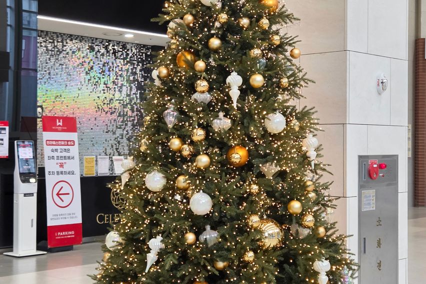 화이트 스테이 송도