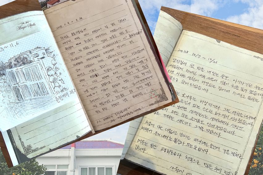 서귀포 귤밭마당 독채 10번째 이미지