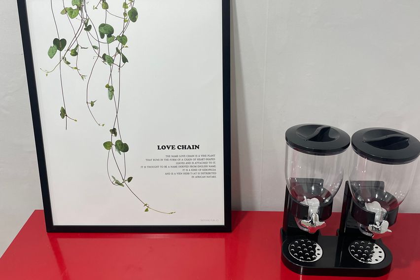 여성 내창방 E타입  13번째 이미지