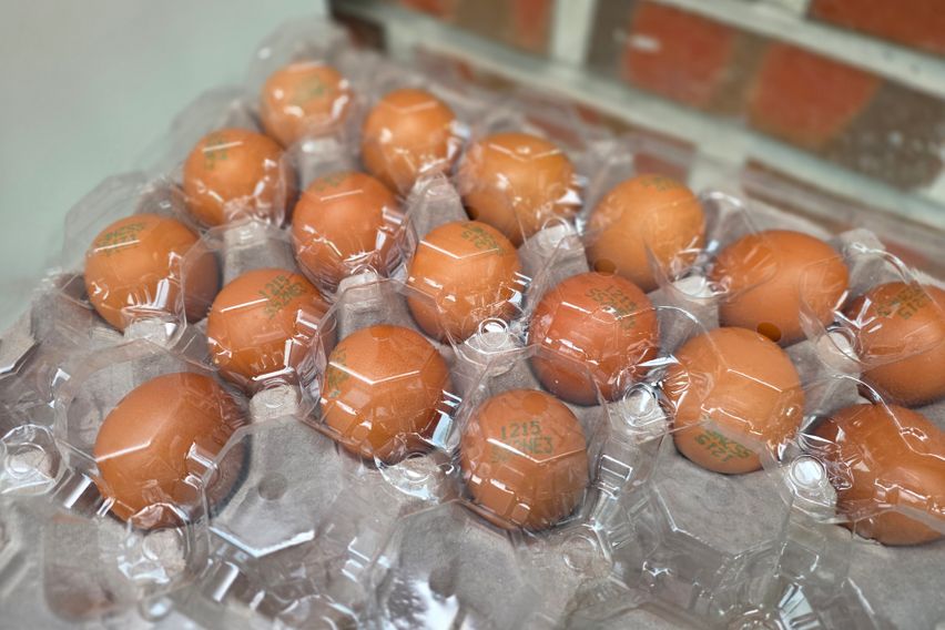 [이벤트] 신림 203 7번째 이미지