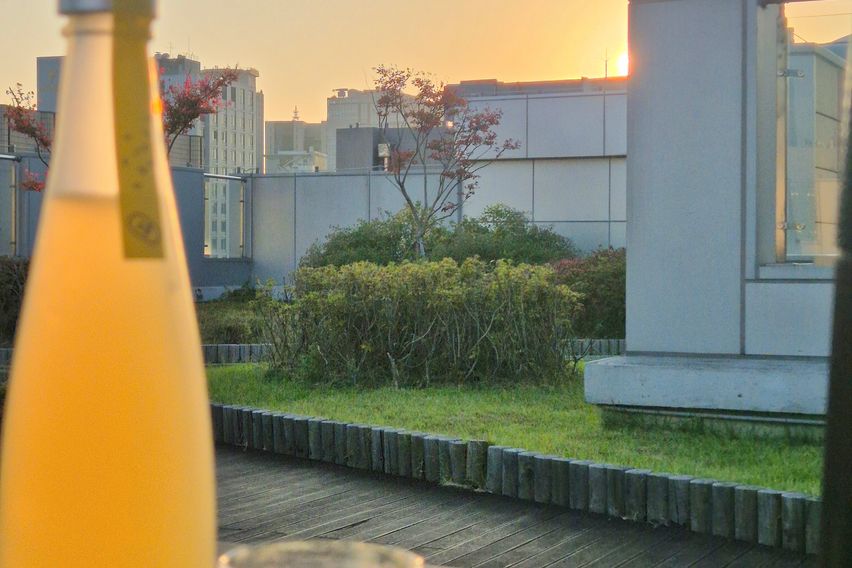 🩷명동5분 모던516