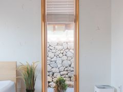 수선화 4번째 이미지