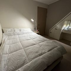 🌈 New Port & Jinhae: Emotional Healing Unit Image