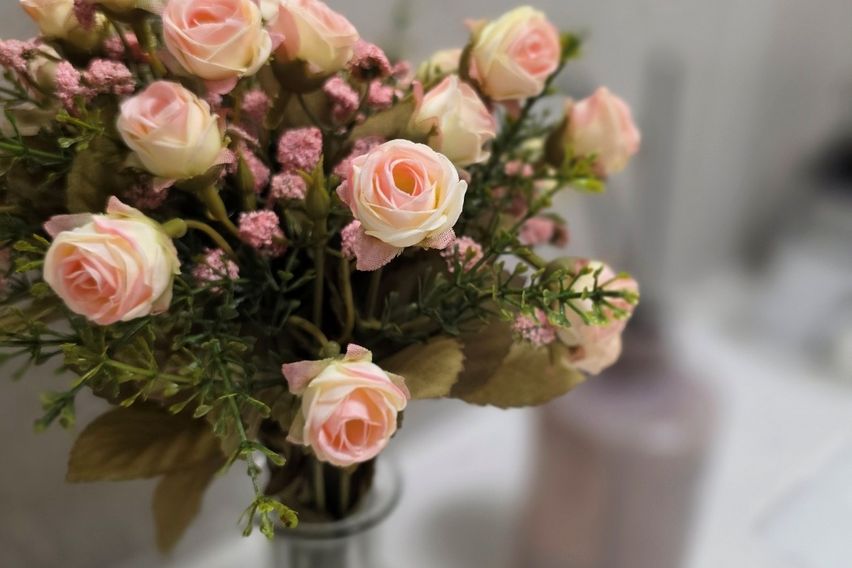 [화이트 스테이-동탄]