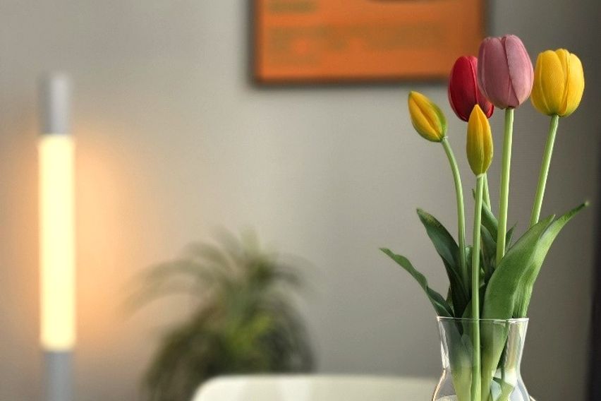 르몽드 스테이 B