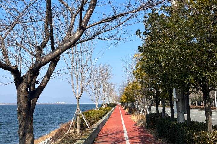 하단역 5분 넷플디즈니 19번째 이미지