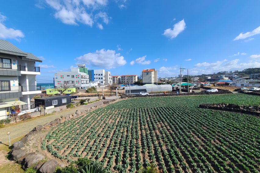 ⛱️애월 곽지해변 1분컷 9번째 이미지