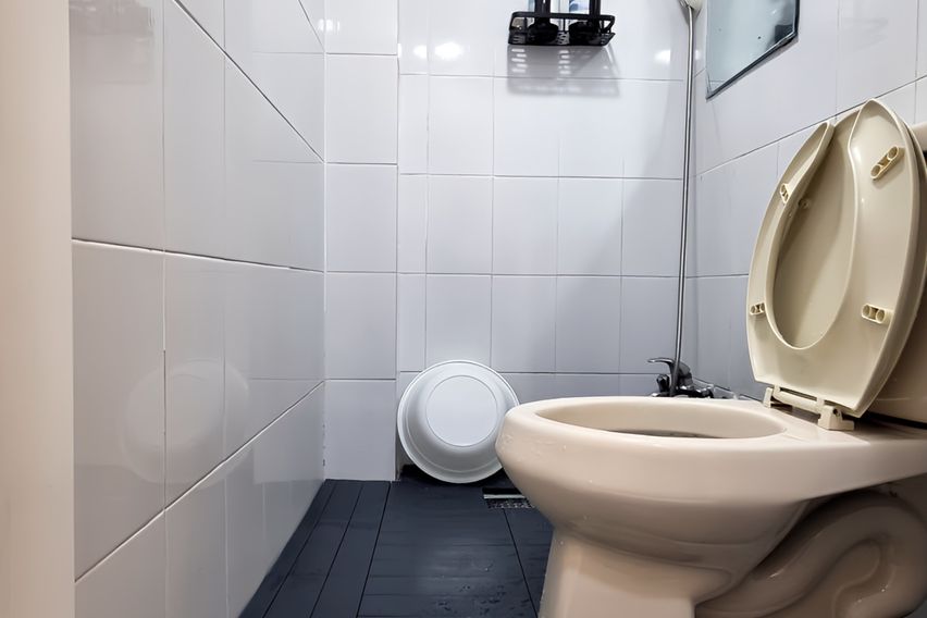 블루마운틴  11번째 이미지