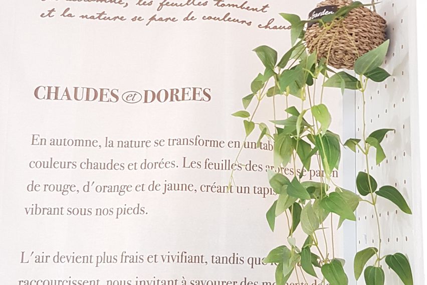 고양동 중심가 풀옵션 13번째 이미지