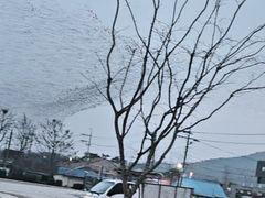 예산 예당호 출렁다리 10번째 이미지