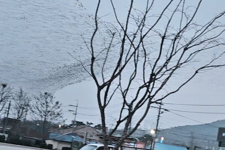 예산 예당호 출렁다리 10번째 이미지