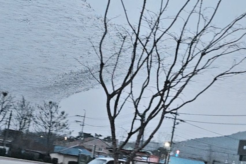 예산 예당호 출렁다리 10번째 이미지