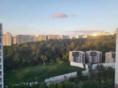 숲세권방4개16층아파트 0번째 이미지