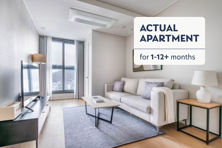 #81블루그라운드을지로 0번째 이미지