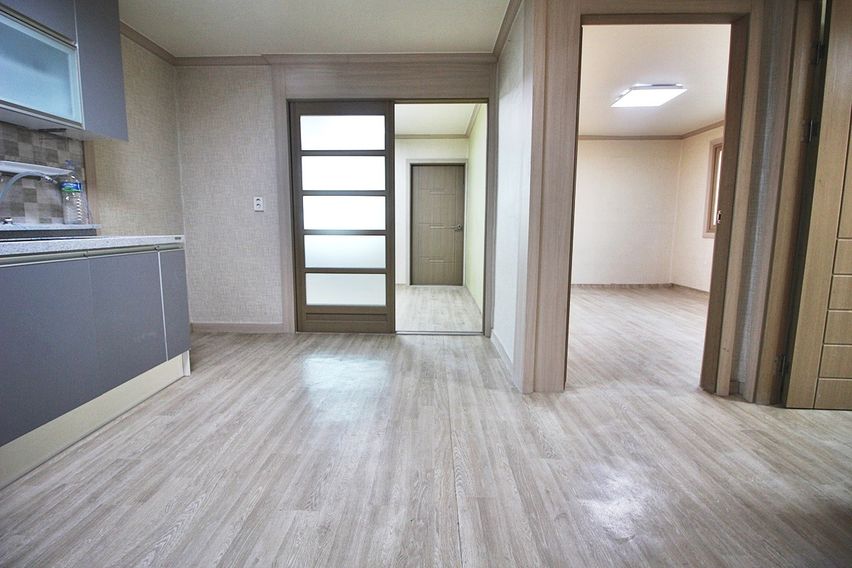 금화네 9번째 이미지