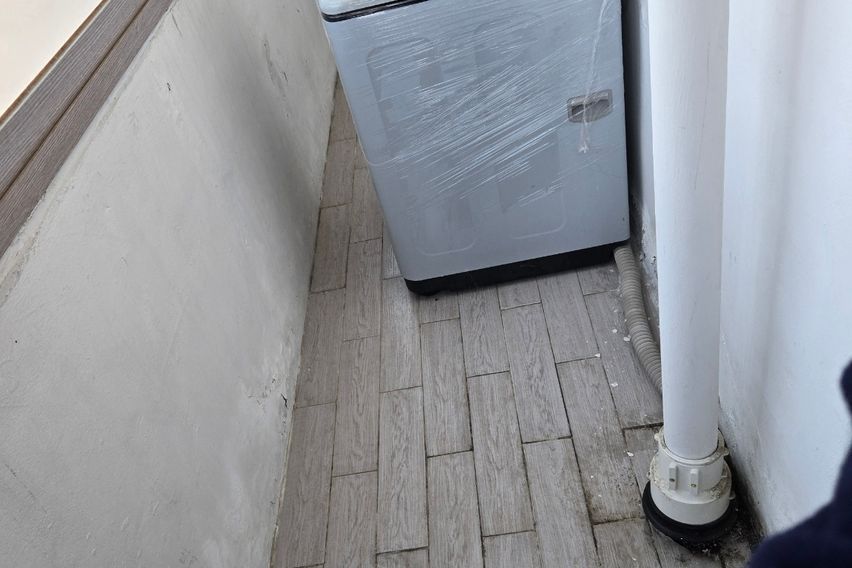 금화네 12번째 이미지