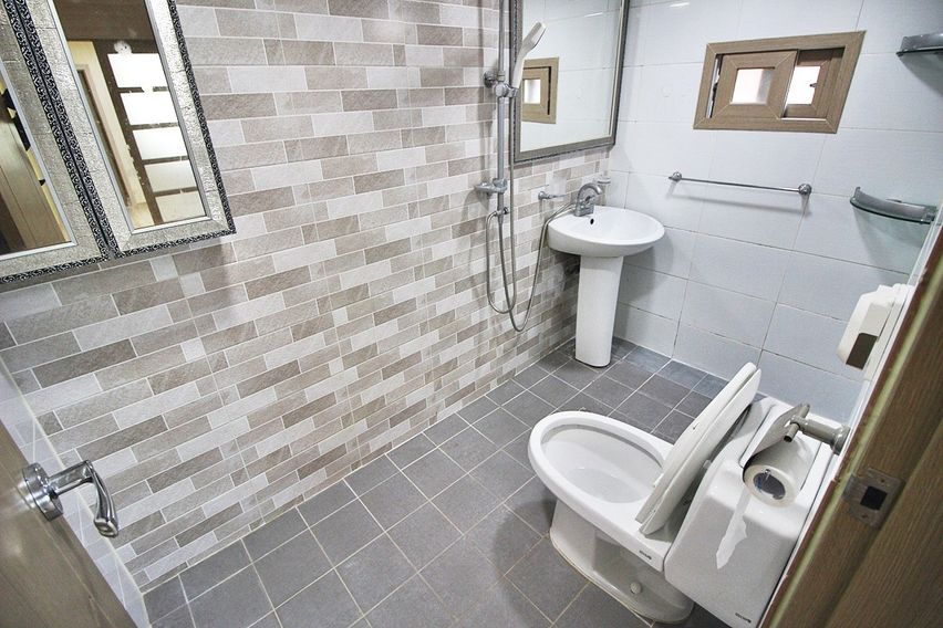 금화네 7번째 이미지