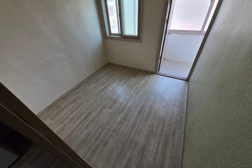 금화네 6번째 이미지