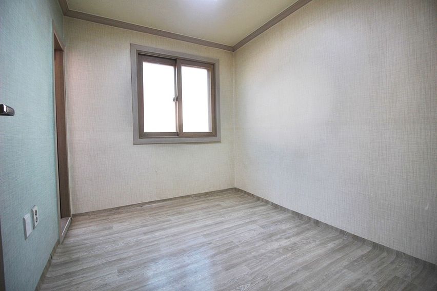 금화네 11번째 이미지