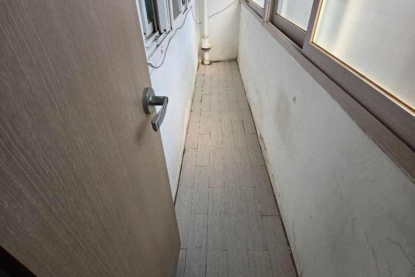 금화네 4번째 이미지