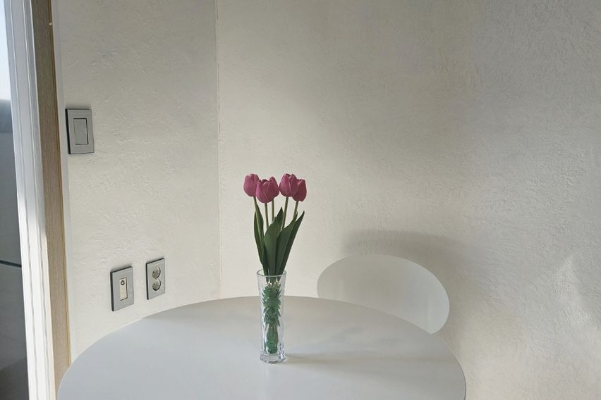 유성 봉명동 오피스텔