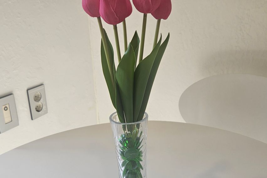 유성 봉명동 오피스텔