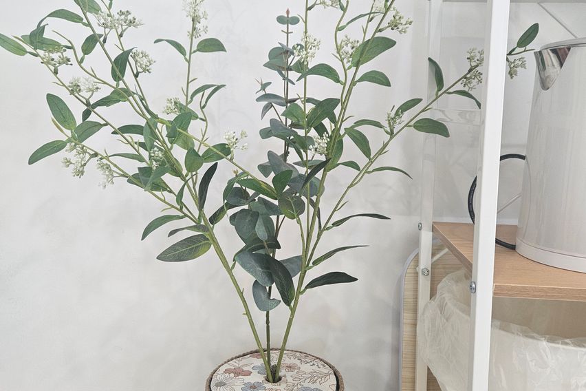 유성 봉명동 오피스텔