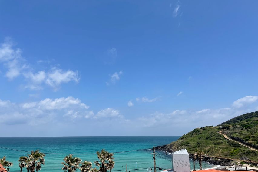 해변 도보10초 203