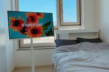 창원 도심1초 심플🍎