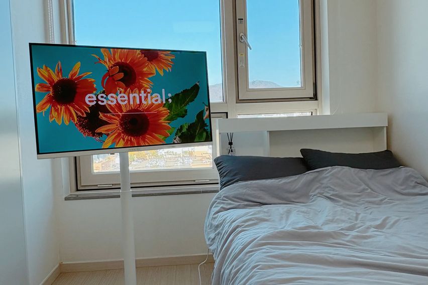 창원 도심1초 심플🍎