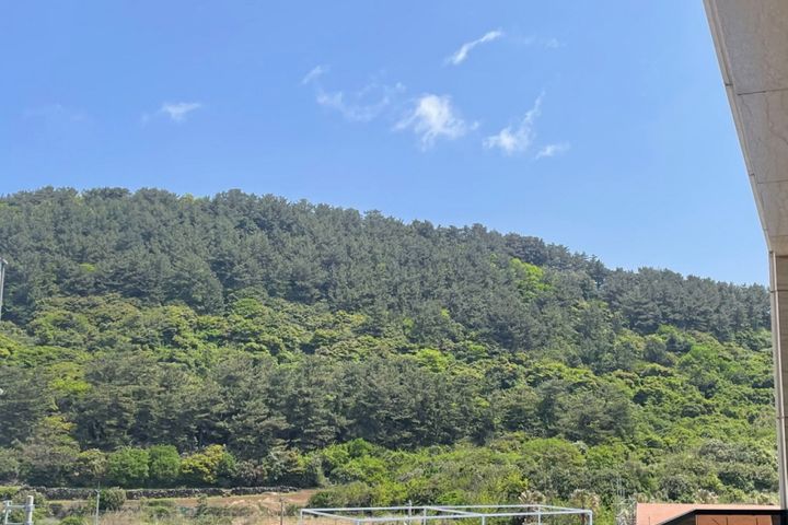 해변 도보10초 205 4번째 이미지