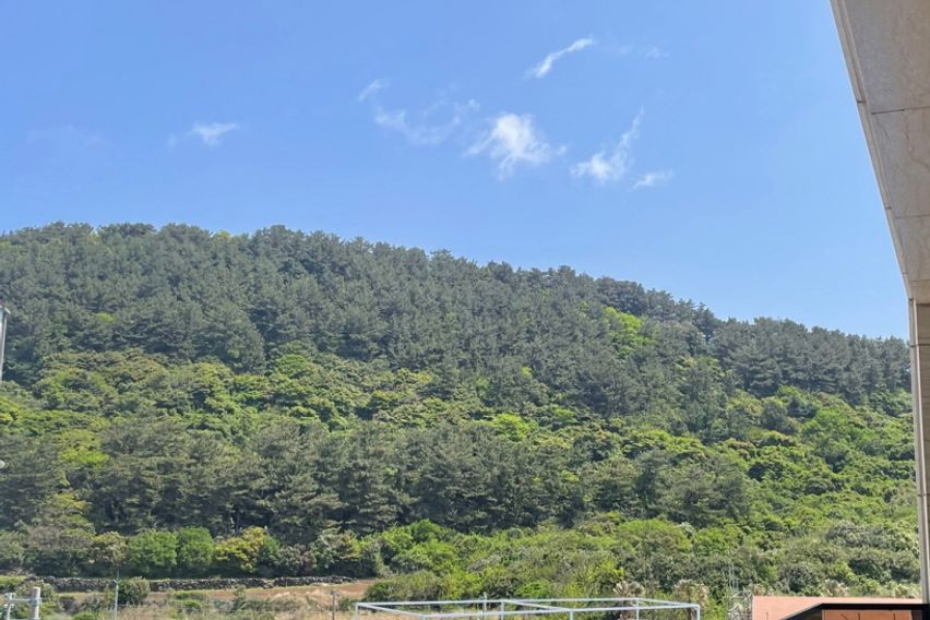 해변 도보10초 205 4번째 이미지