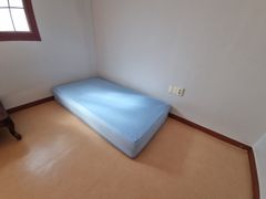 Jinhae Cherry Blossoms / Vacant Studio / 6 1th image