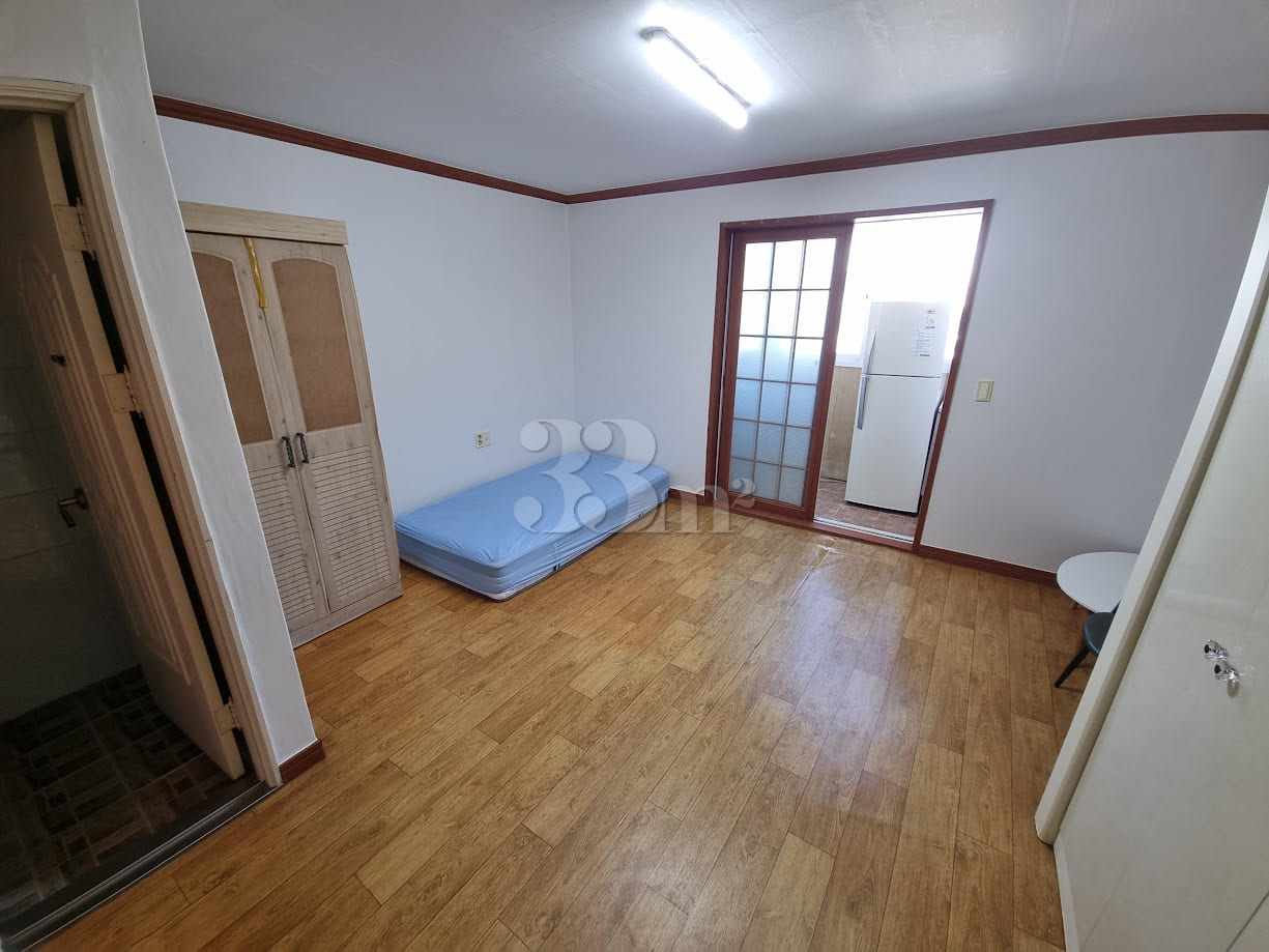 Jinhae Cherry Blossoms / Vacant Studio / 3 0th image
