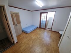 Jinhae Cherry Blossoms / Vacant Studio Apartm 0th image