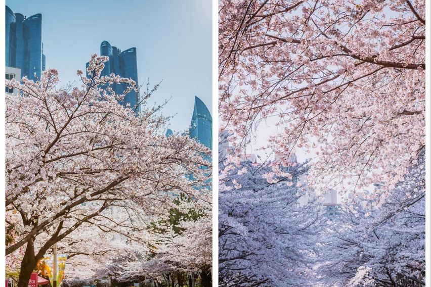 마린시티 윤슬 오션뷰