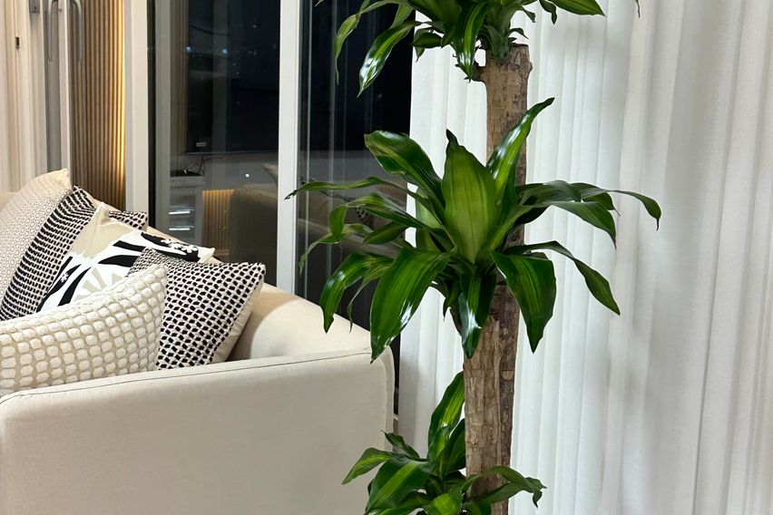 ▶Cozy Stay◀ 19번째 이미지