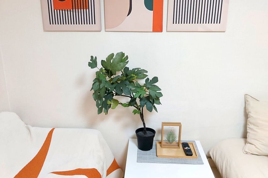 강남구청8분, 청담8분