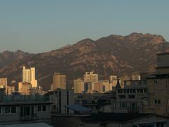 모스 룸  15번째 이미지