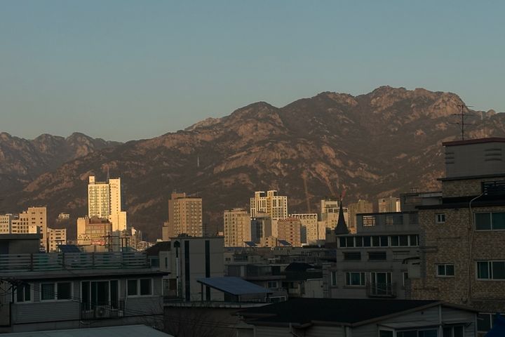 모스 룸  15번째 이미지