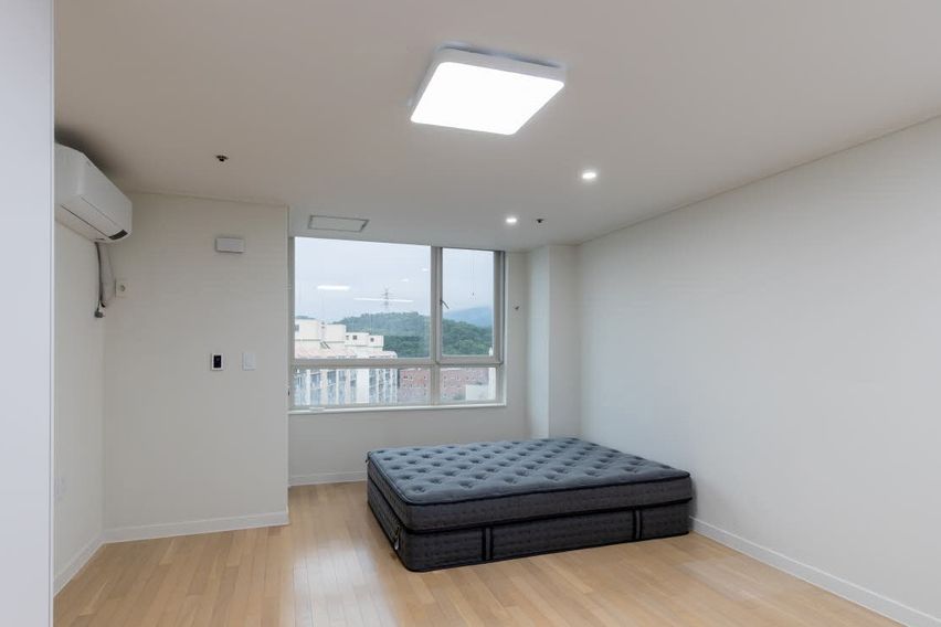 강남 / 양재 / 역삼