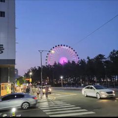 Sokcho Beach Tree View Unit Image