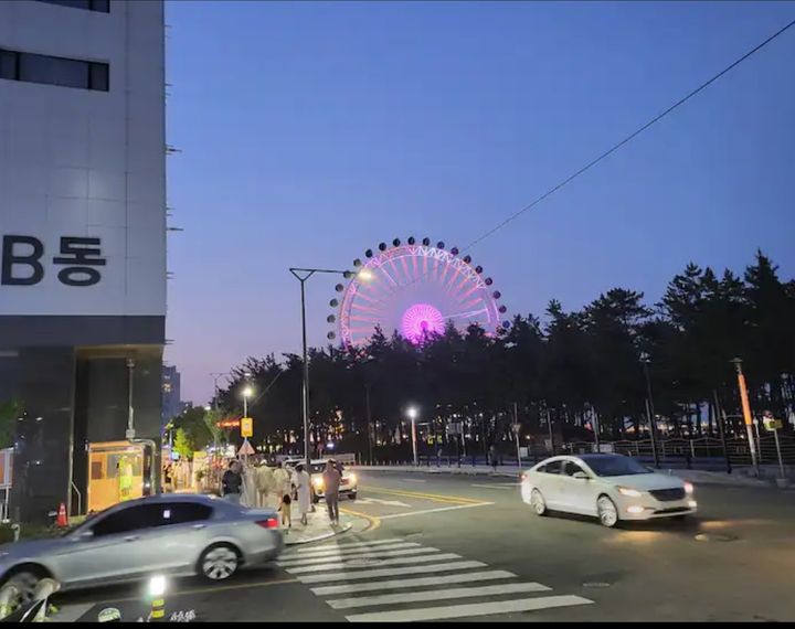 Sokcho Beach Tree View 방 이미지