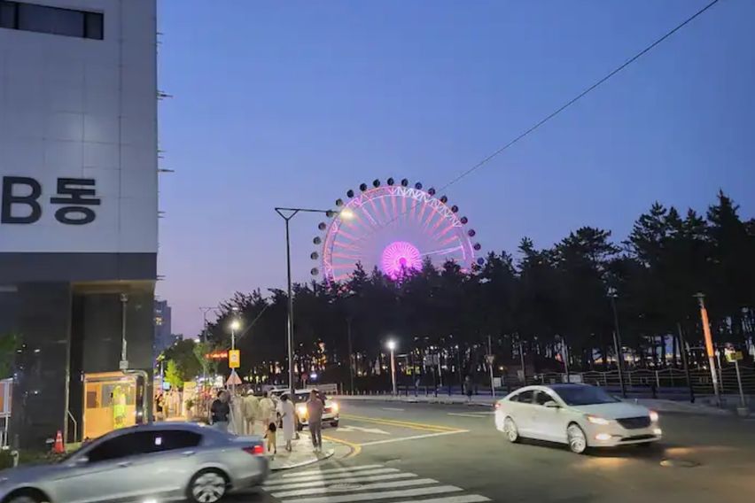 속초해변트리뷰