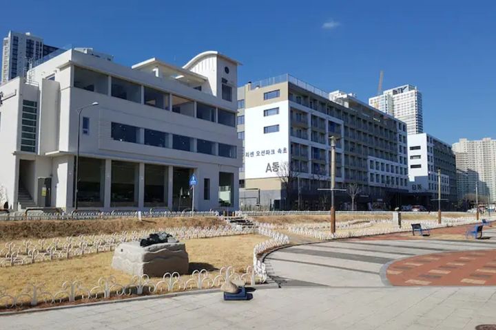 Sokcho Beach Tree View 3th image