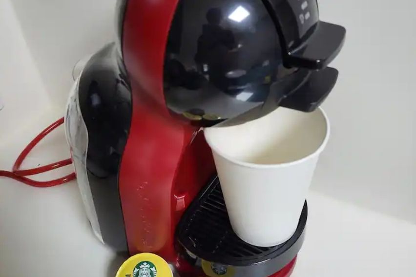 속초해변트리뷰