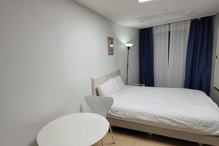 속초해변트리뷰