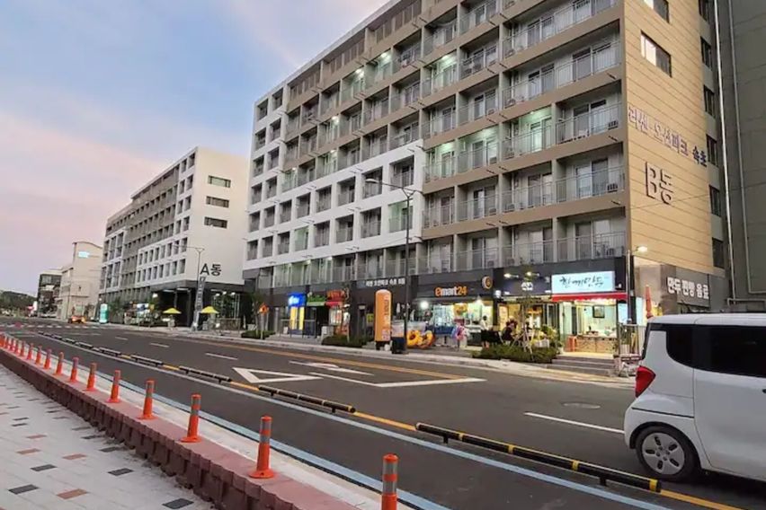 속초해변트리뷰