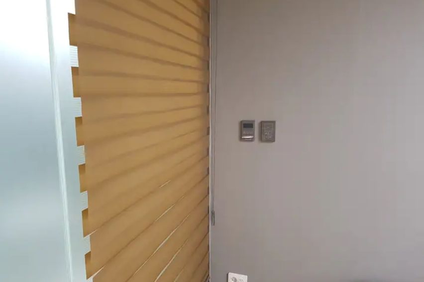 속초해변트리뷰