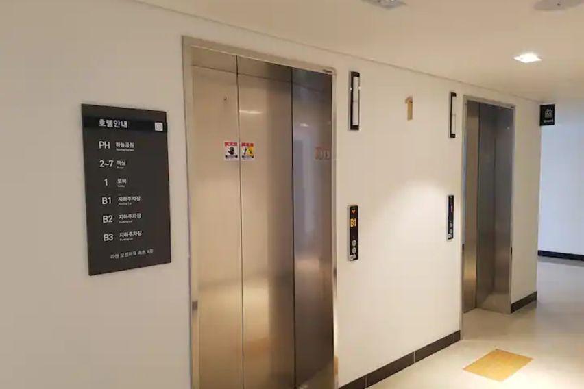 속초해변트리뷰